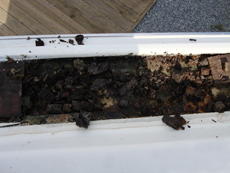 Fiberglass removed revealing mud like balsa core