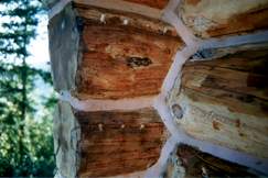 Log Home Repair Epoxy, Two Part, Wood Filler Clear Epoxy